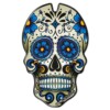 Protector Depósito Skull